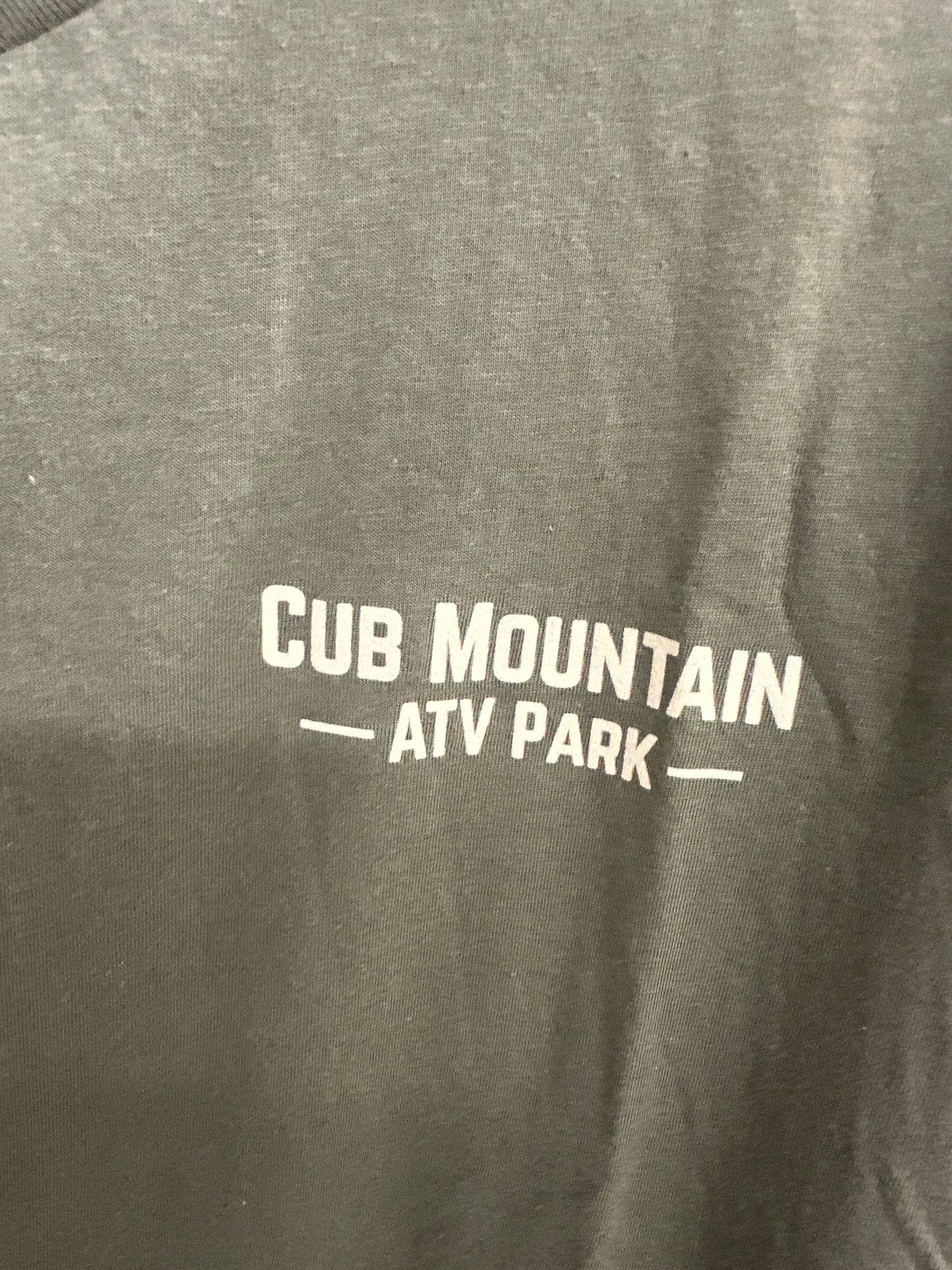 Cub Mountain Hoodie